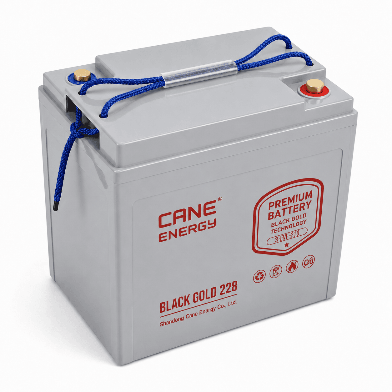 Black Gold 3-EVF-210Ah 6V VRLA deep cycle traction lead-acid battery for industrial vehicles and cleaning equipment