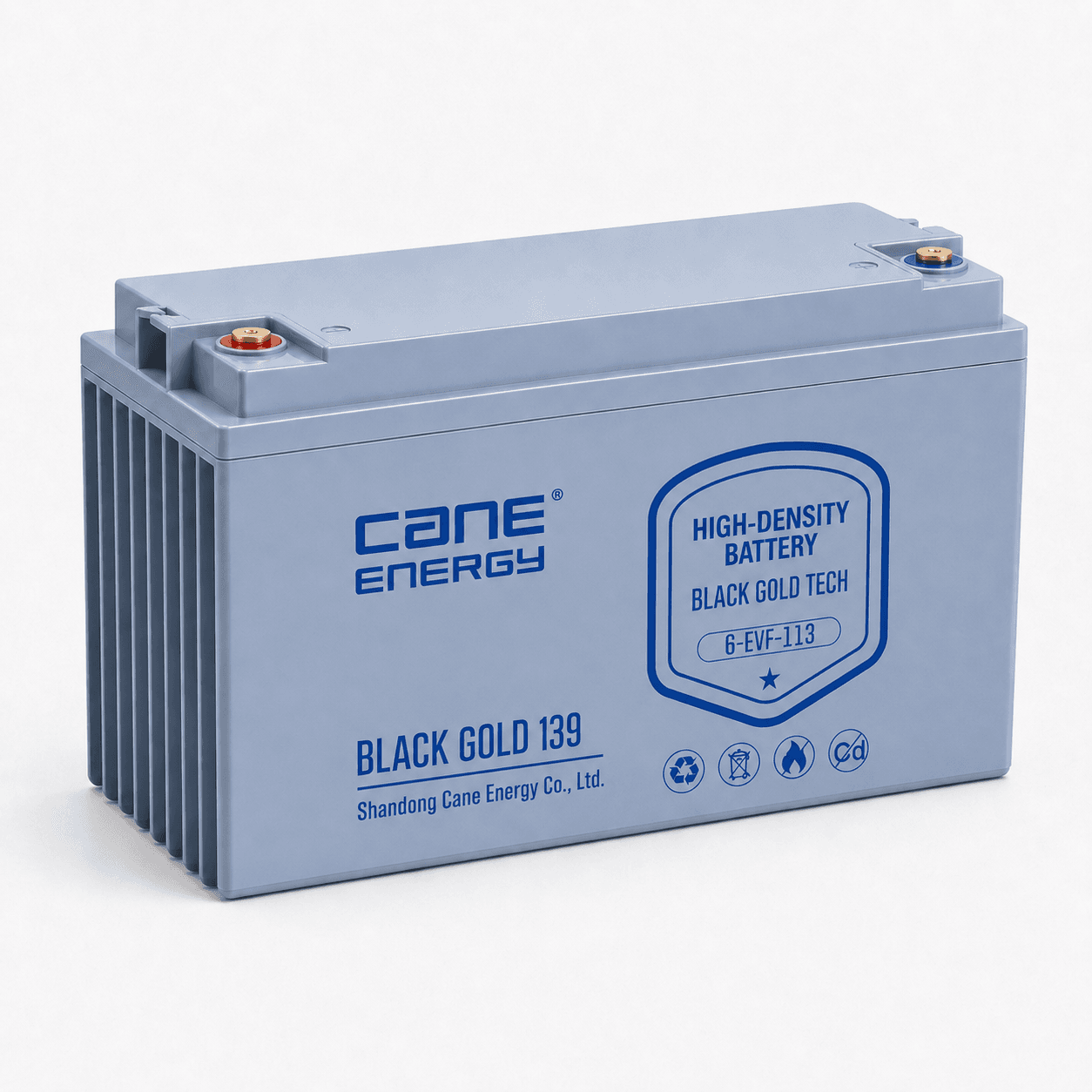 Black Gold 6-EVF-113Ah 12V VRLA Deep Cycle Traction Lead-Acid Battery