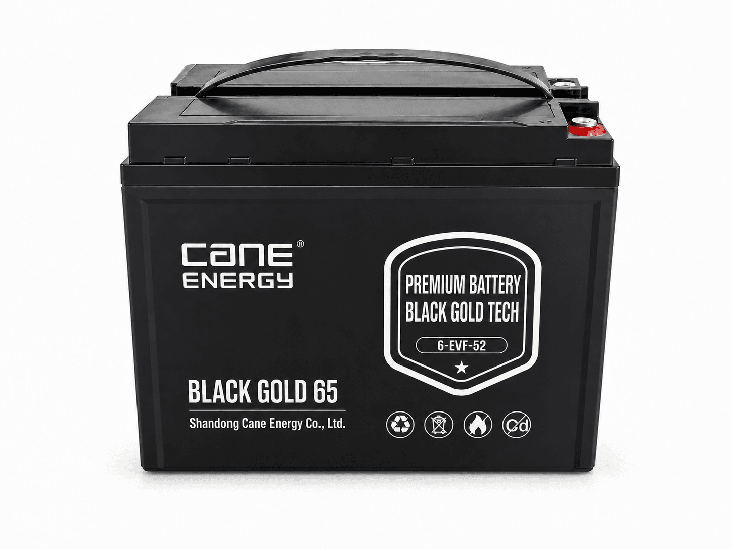 Black Gold 6-EVF-52Ah 12V VRLA Deep Cycle Traction Lead-Acid Battery
