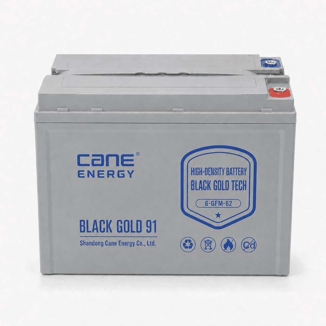 Black Gold 6-EVF-62Ah 12V VRLA Deep Cycle Traction Lead-Acid Battery