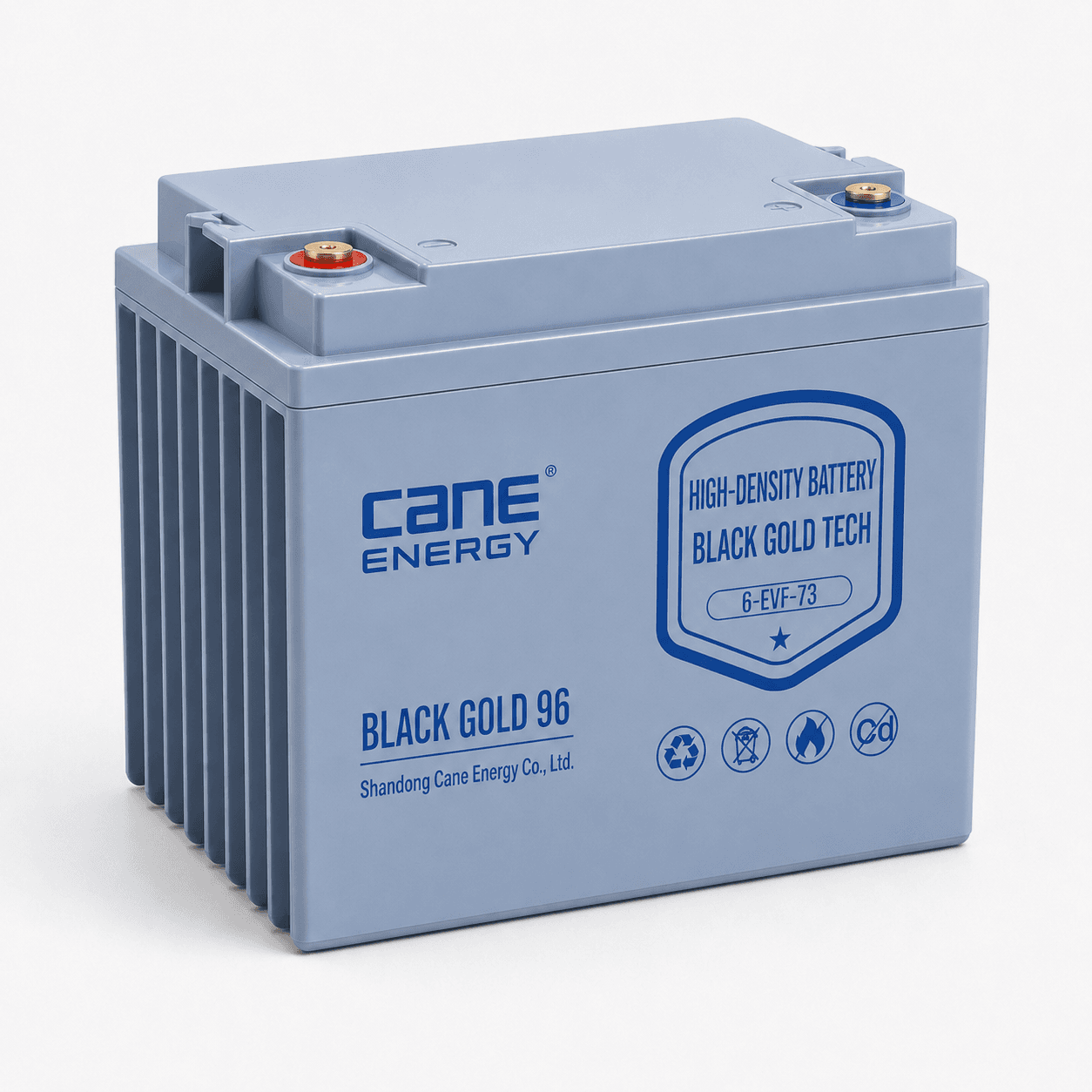 Black Gold 6-EVF-73Ah 12V VRLA Deep Cycle Traction Lead-Acid Battery