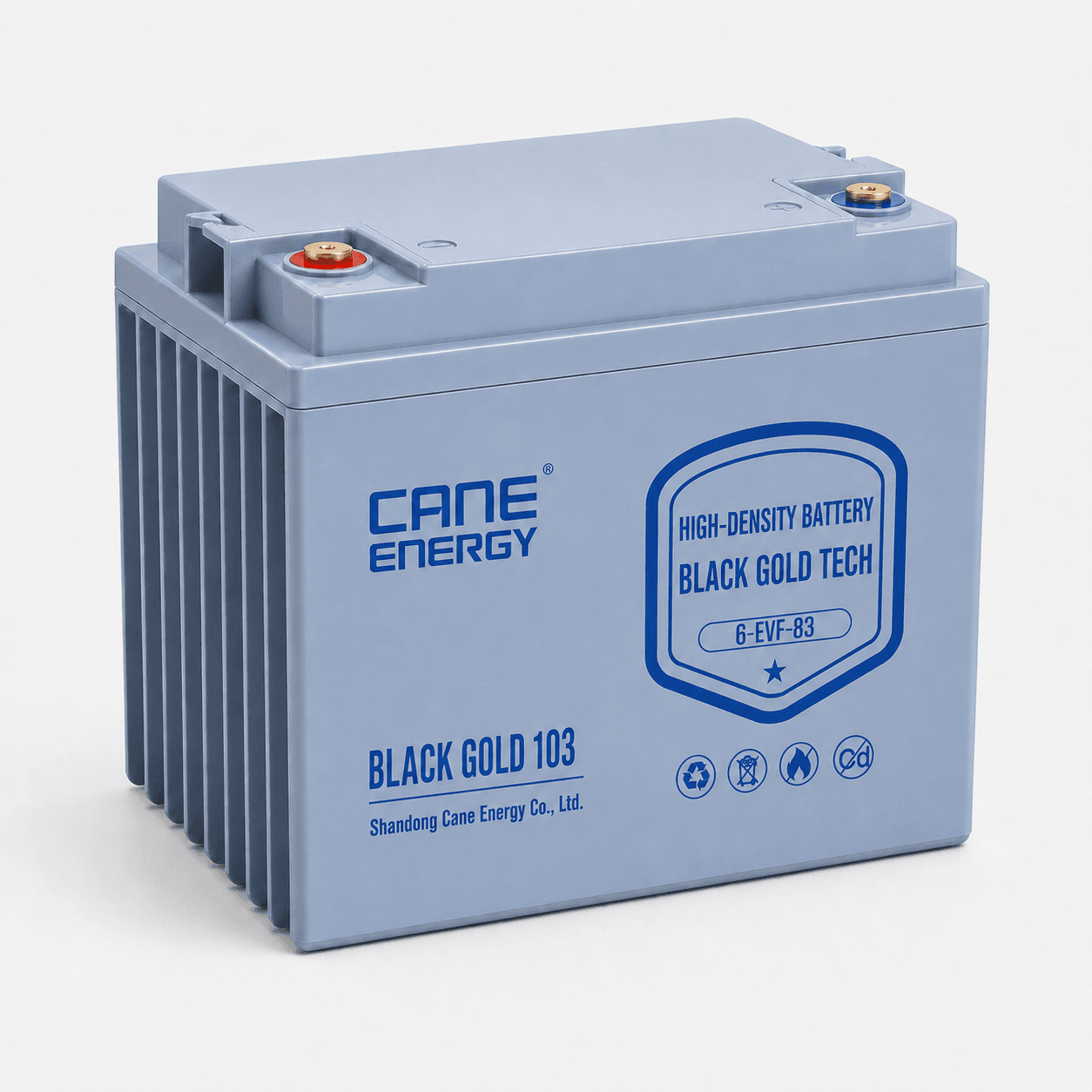 Black Gold 6-EVF-83Ah 12V VRLA deep cycle traction lead-acid battery for low-speed EVs and special vehicles