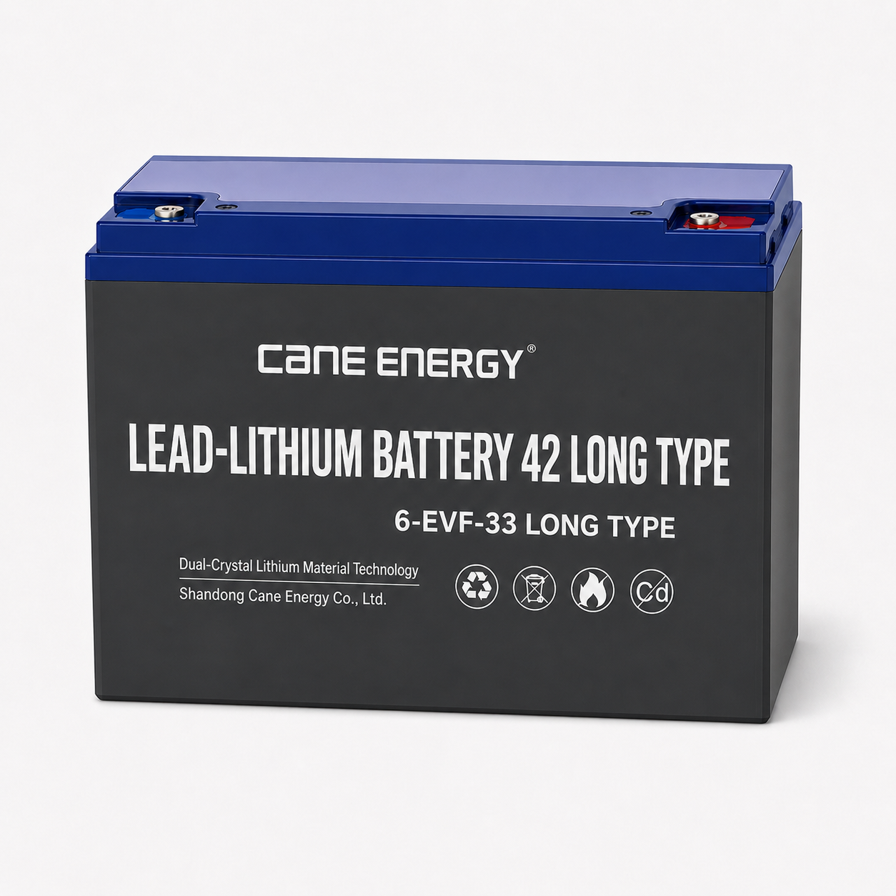 Lead-Lithium Fast-Charge Series QL-6-EVF-33Ah Long Case 12V Lead-Lithium Enhanced VRLA Deep Cycle Traction Battery