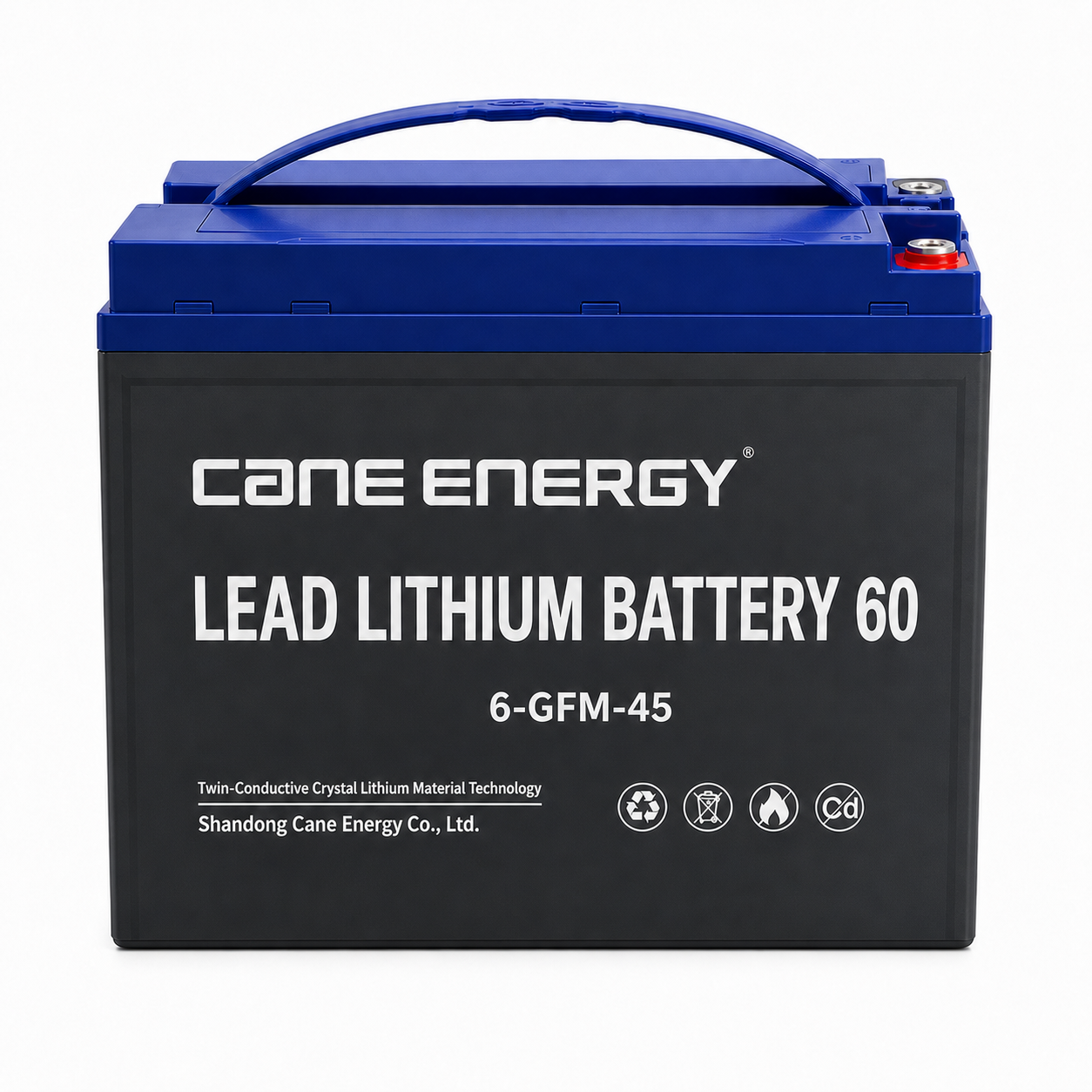 Lead-Lithium Fast-Charge Series QL-6-EVF-45Ah 12V Lead-Lithium Enhanced VRLA Deep Cycle Traction Battery