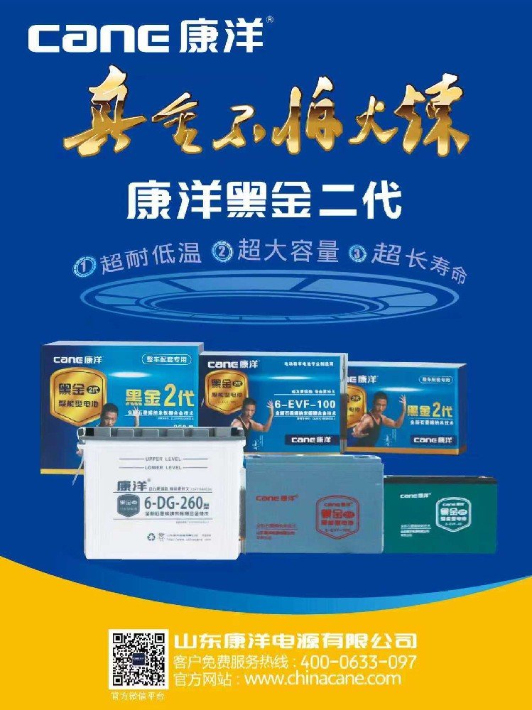 Lead-Acid Battery Electric Vehicle Care Guide