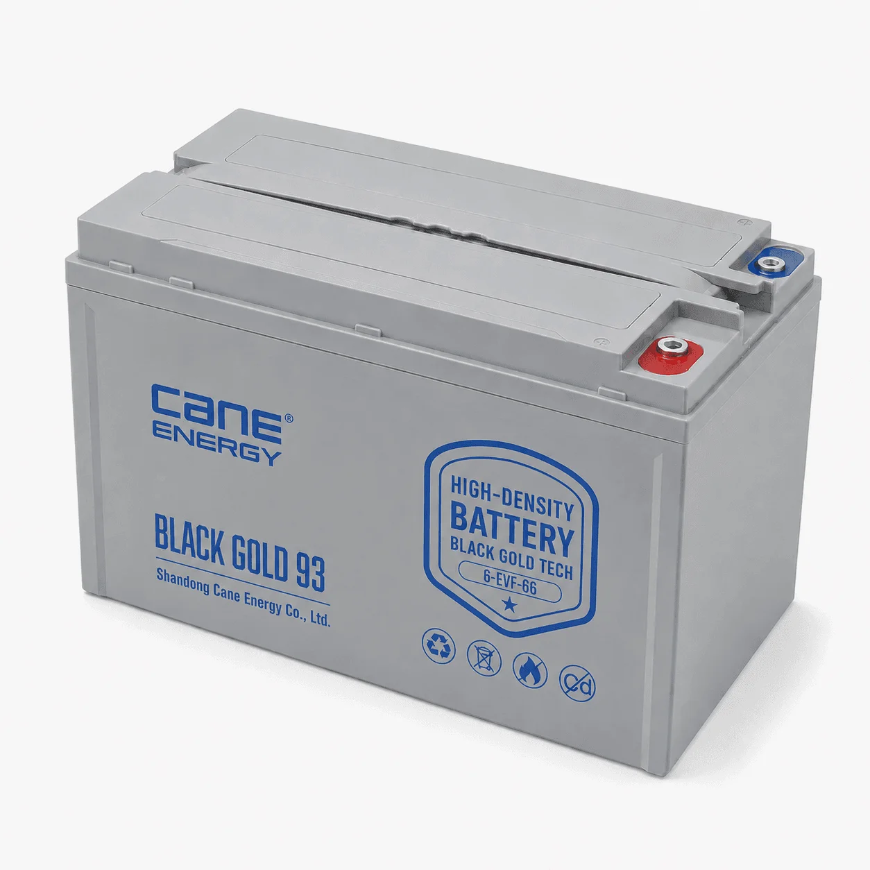 Black Gold 6-EVF-66Ah 12V VRLA deep cycle traction lead-acid battery for low-speed EVs and special vehicles