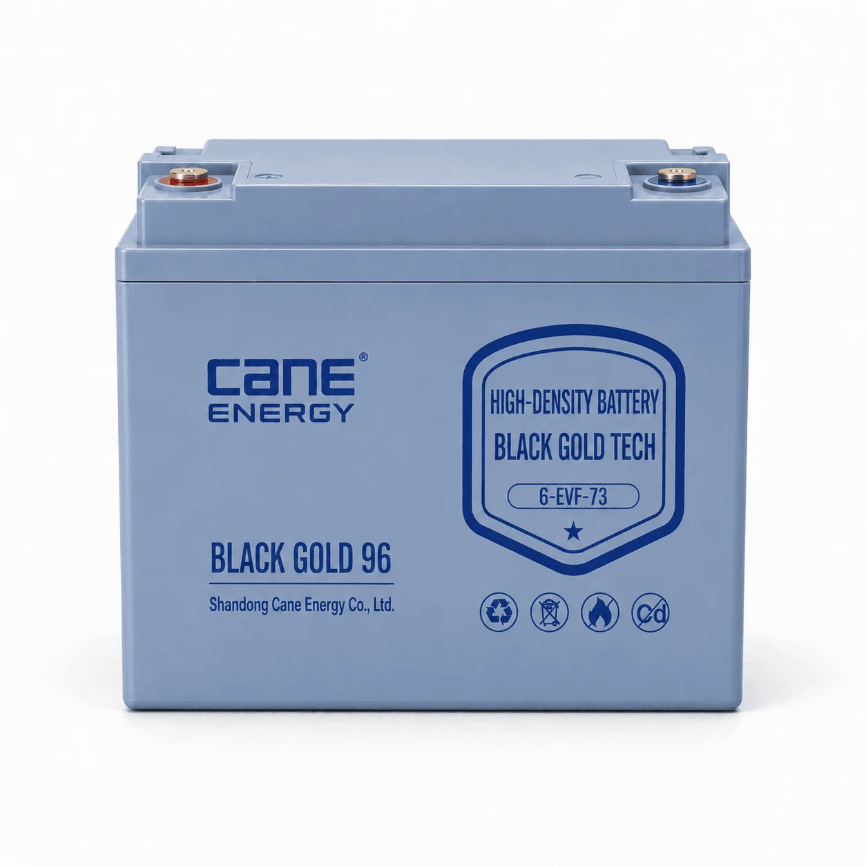 Black Gold 6-EVF-73Ah 12V VRLA deep cycle traction lead-acid battery for low-speed EVs and special vehicles