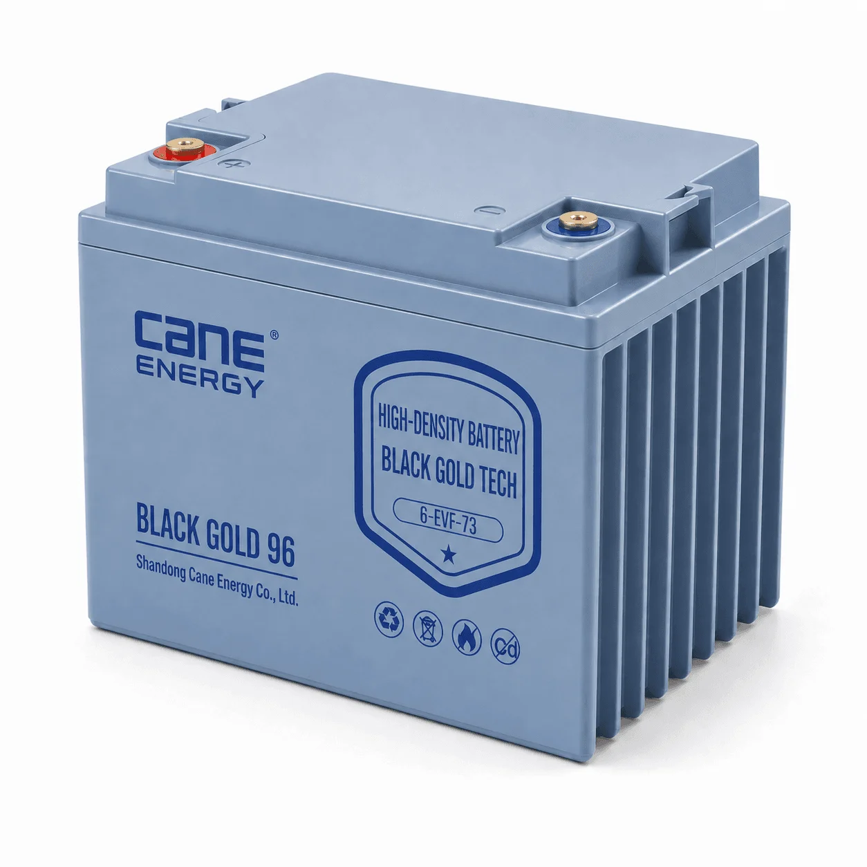 Black Gold 6-EVF-73Ah 12V VRLA deep cycle traction lead-acid battery for low-speed EVs and special vehicles