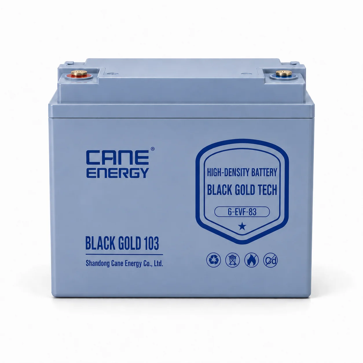 Black Gold 6-EVF-83Ah 12V VRLA deep cycle traction lead-acid battery for low-speed EVs and special vehicles