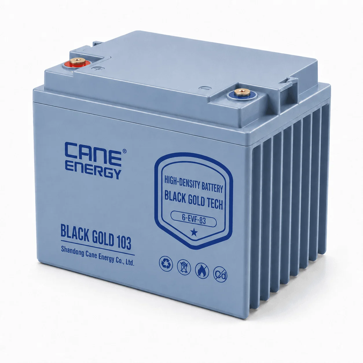 Black Gold 6-EVF-83Ah 12V VRLA deep cycle traction lead-acid battery for low-speed EVs and special vehicles