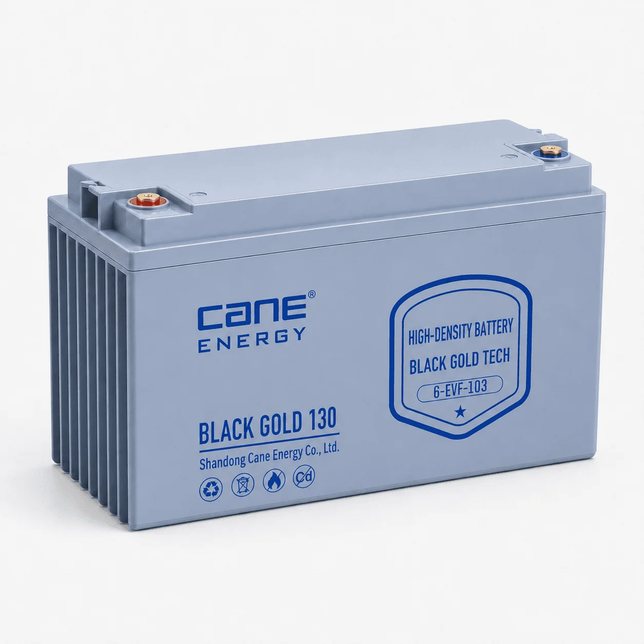 Black Gold 6-EVF-103Ah 12V VRLA deep cycle traction lead-acid battery for industrial vehicles and cleaning equipment