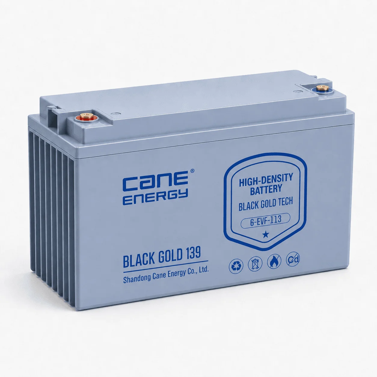 Black Gold 6-EVF-113Ah 12V VRLA deep cycle traction lead-acid battery for industrial vehicles and cleaning equipment