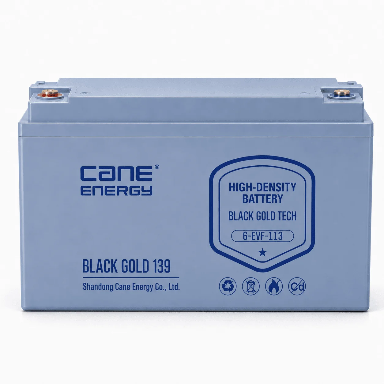 Black Gold 6-EVF-113Ah 12V VRLA deep cycle traction lead-acid battery for industrial vehicles and cleaning equipment