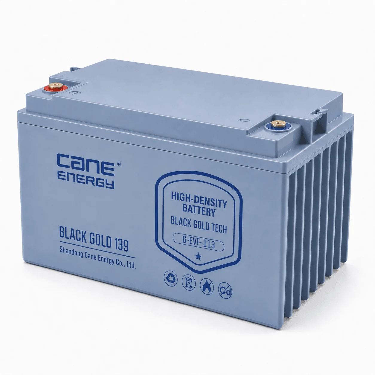 Black Gold 6-EVF-113Ah 12V VRLA deep cycle traction lead-acid battery for industrial vehicles and cleaning equipment
