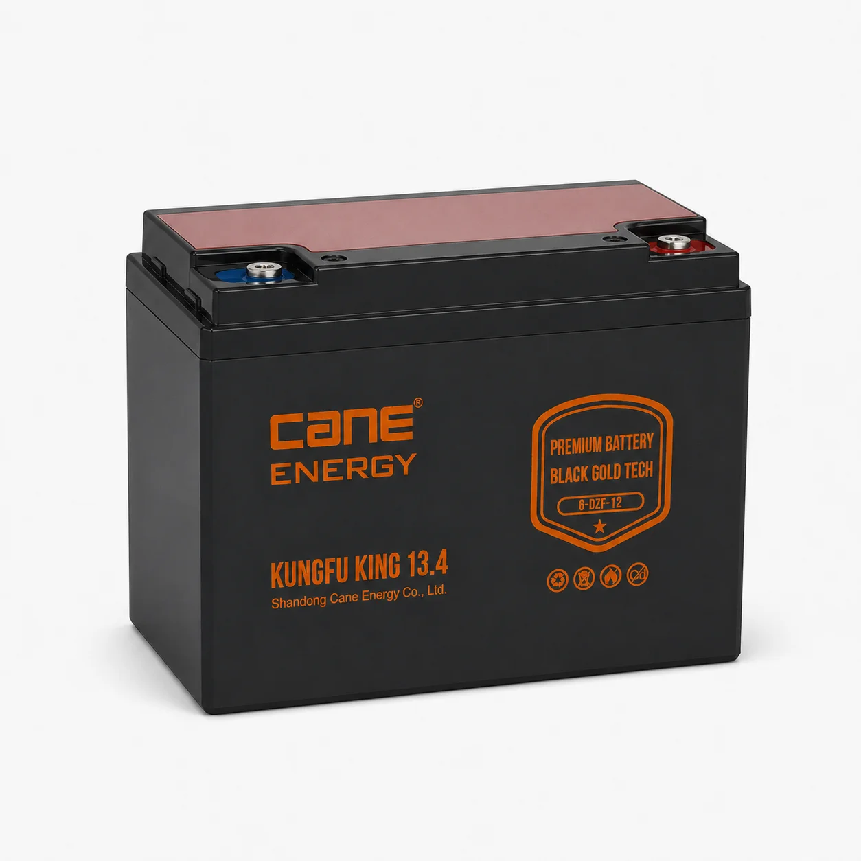 Black Gold 6-DZF-12Ah 12V VRLA deep cycle traction lead-acid battery for electric bicycles and scooters