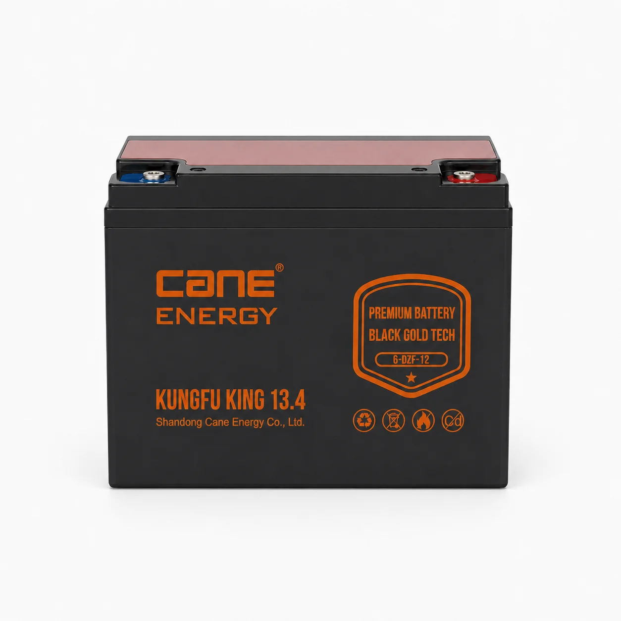Black Gold 6-DZF-12Ah 12V VRLA deep cycle traction lead-acid battery for electric bicycles and scooters