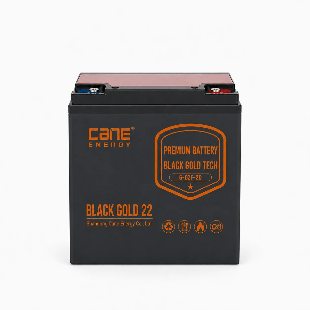 Black Gold 6-DZF-20Ah 12V VRLA deep cycle traction lead-acid battery for electric bicycles and scooters