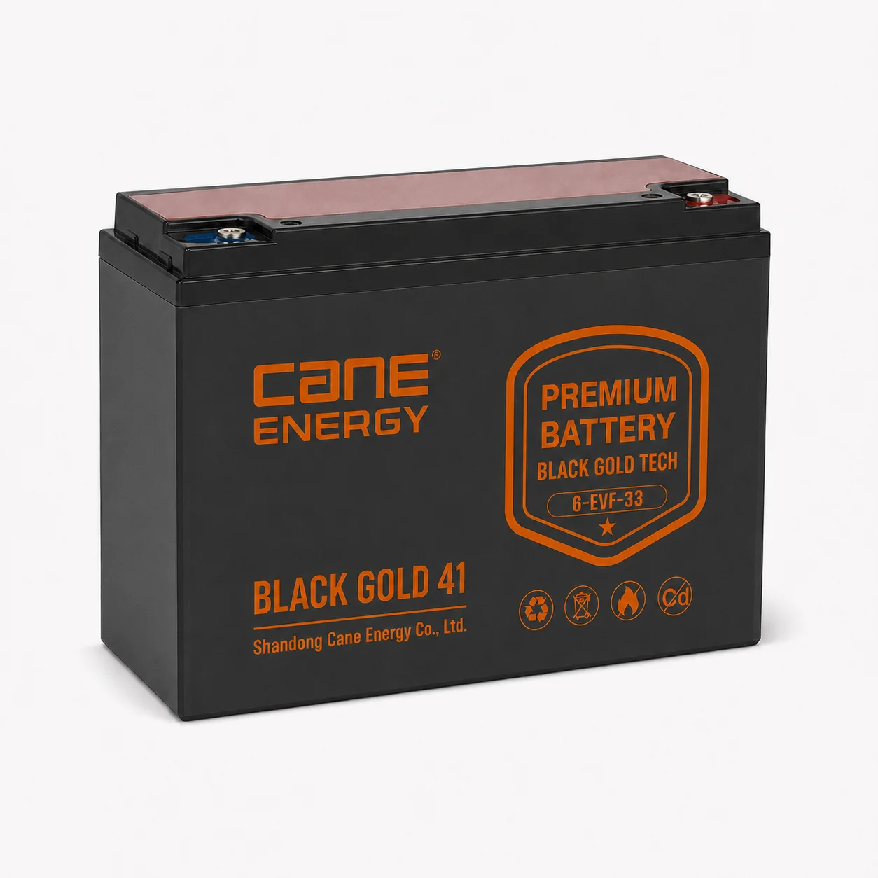 Black Gold 6-EVF-33Ah 12V VRLA deep cycle traction lead-acid battery for low-speed EVs and special vehicles