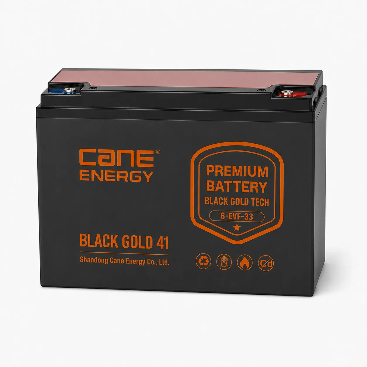 Black Gold 6-EVF-33Ah 12V VRLA deep cycle traction lead-acid battery for low-speed EVs and special vehicles