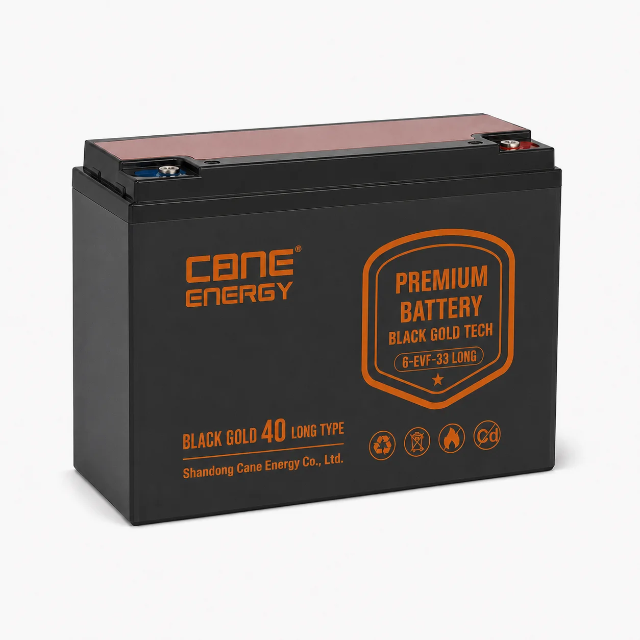 Black Gold 6-EVF-33Ah Long Case 12V VRLA deep cycle traction lead-acid battery for low-speed EVs and special vehicles