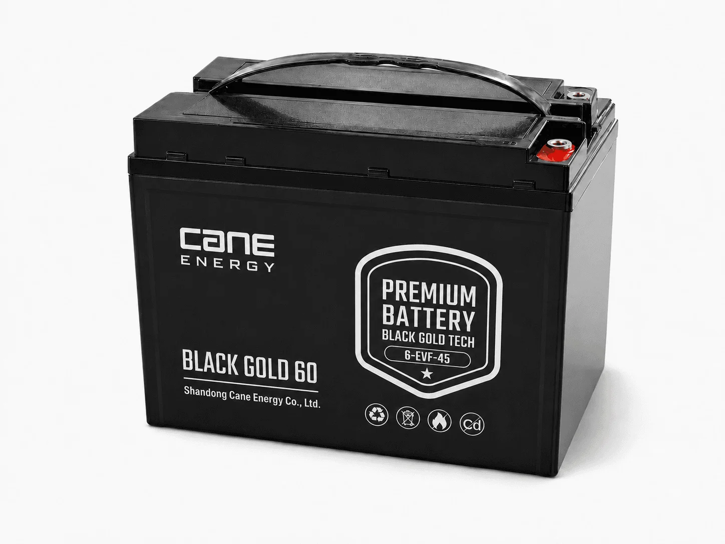 Black Gold 6-EVF-45Ah 12V VRLA deep cycle traction lead-acid battery for low-speed EVs and special vehicles
