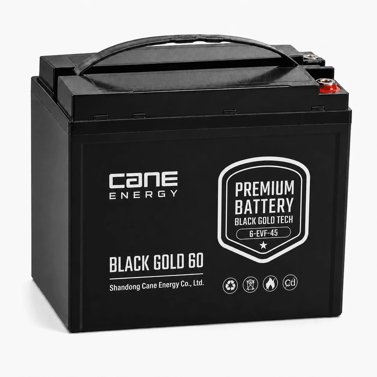 Black Gold 6-EVF-45Ah 12V VRLA deep cycle traction lead-acid battery for low-speed EVs and special vehicles