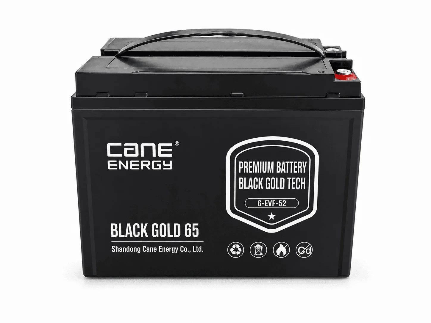 Black Gold 6-EVF-52Ah 12V VRLA deep cycle traction lead-acid battery for low-speed EVs and special vehicles