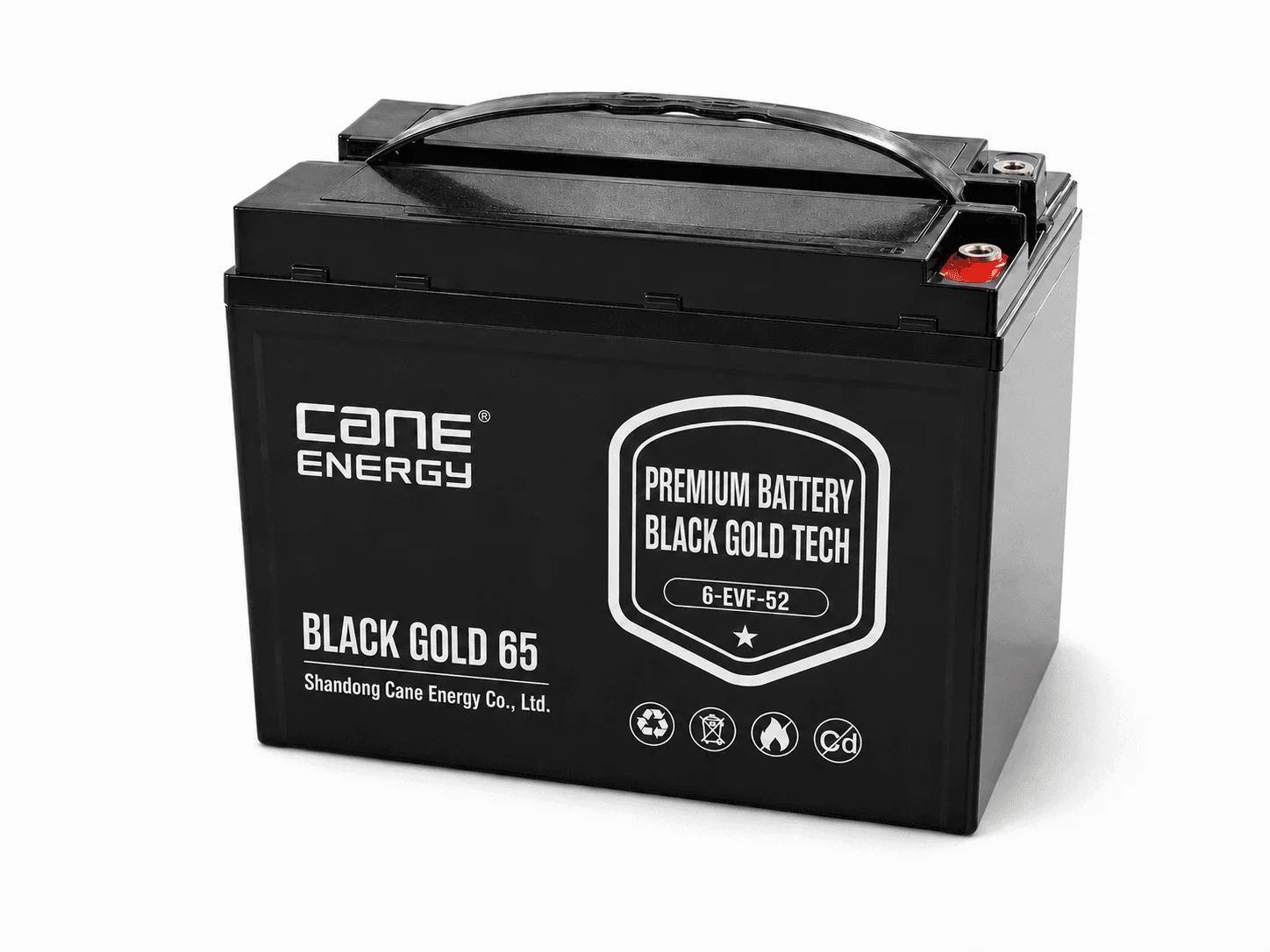Black Gold 6-EVF-52Ah 12V VRLA deep cycle traction lead-acid battery for low-speed EVs and special vehicles