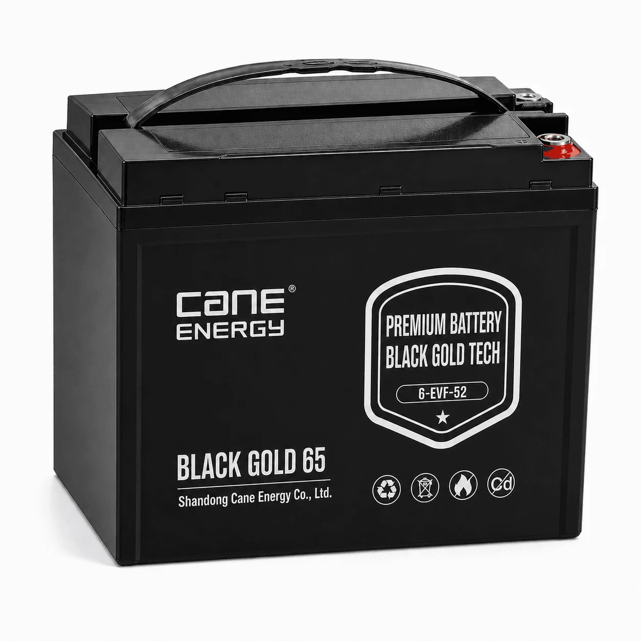Black Gold 6-EVF-52Ah 12V VRLA deep cycle traction lead-acid battery for low-speed EVs and special vehicles