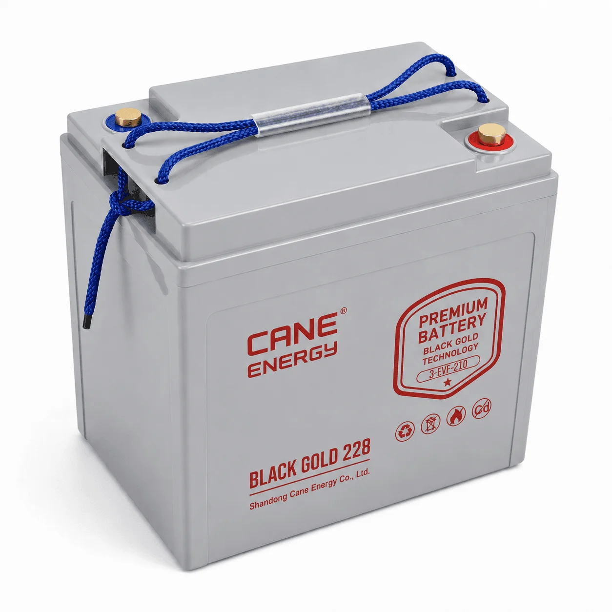 Black Gold 3-EVF-210Ah 6V VRLA deep cycle traction lead-acid battery for industrial vehicles and cleaning equipment