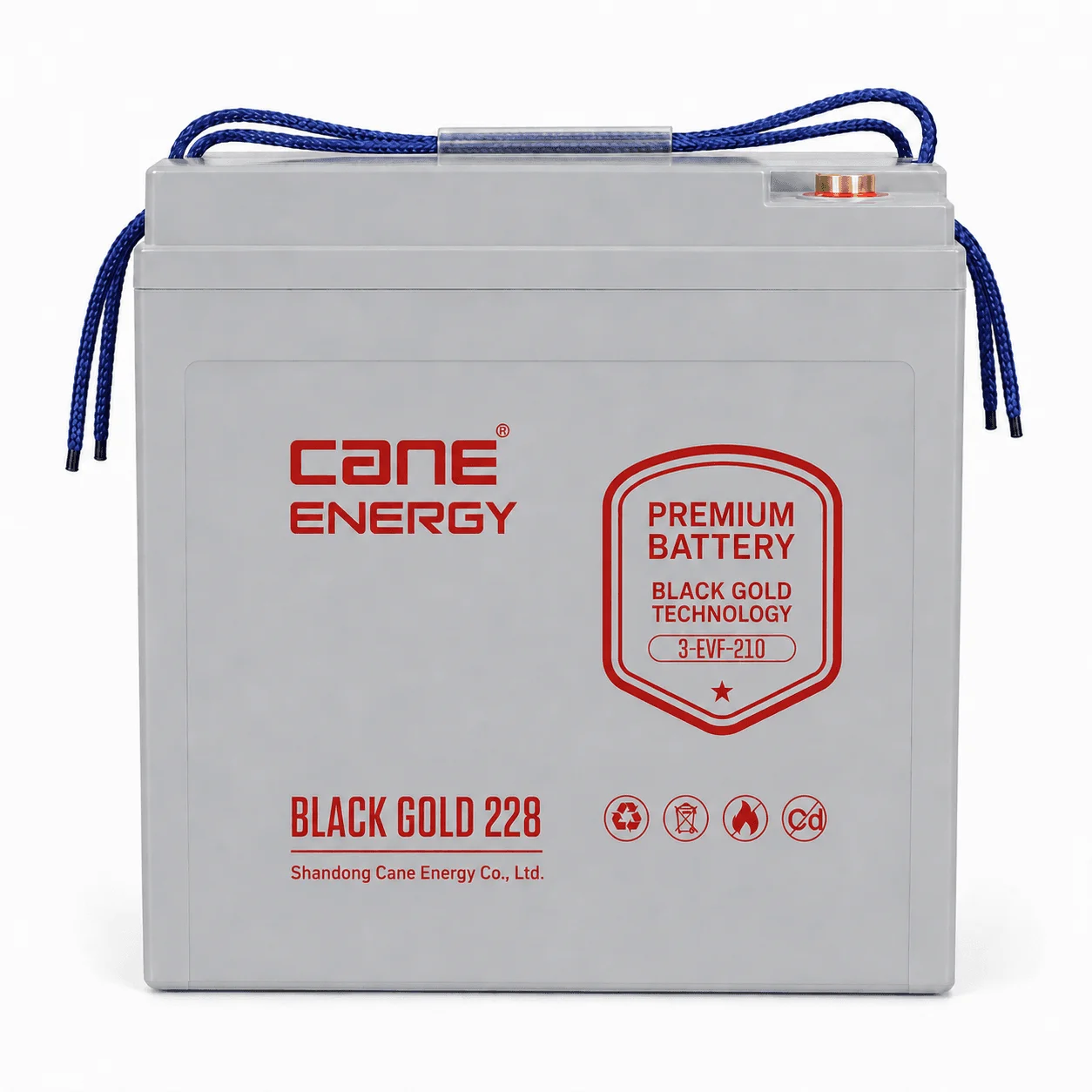 Black Gold 3-EVF-210Ah 6V VRLA deep cycle traction lead-acid battery for industrial vehicles and cleaning equipment