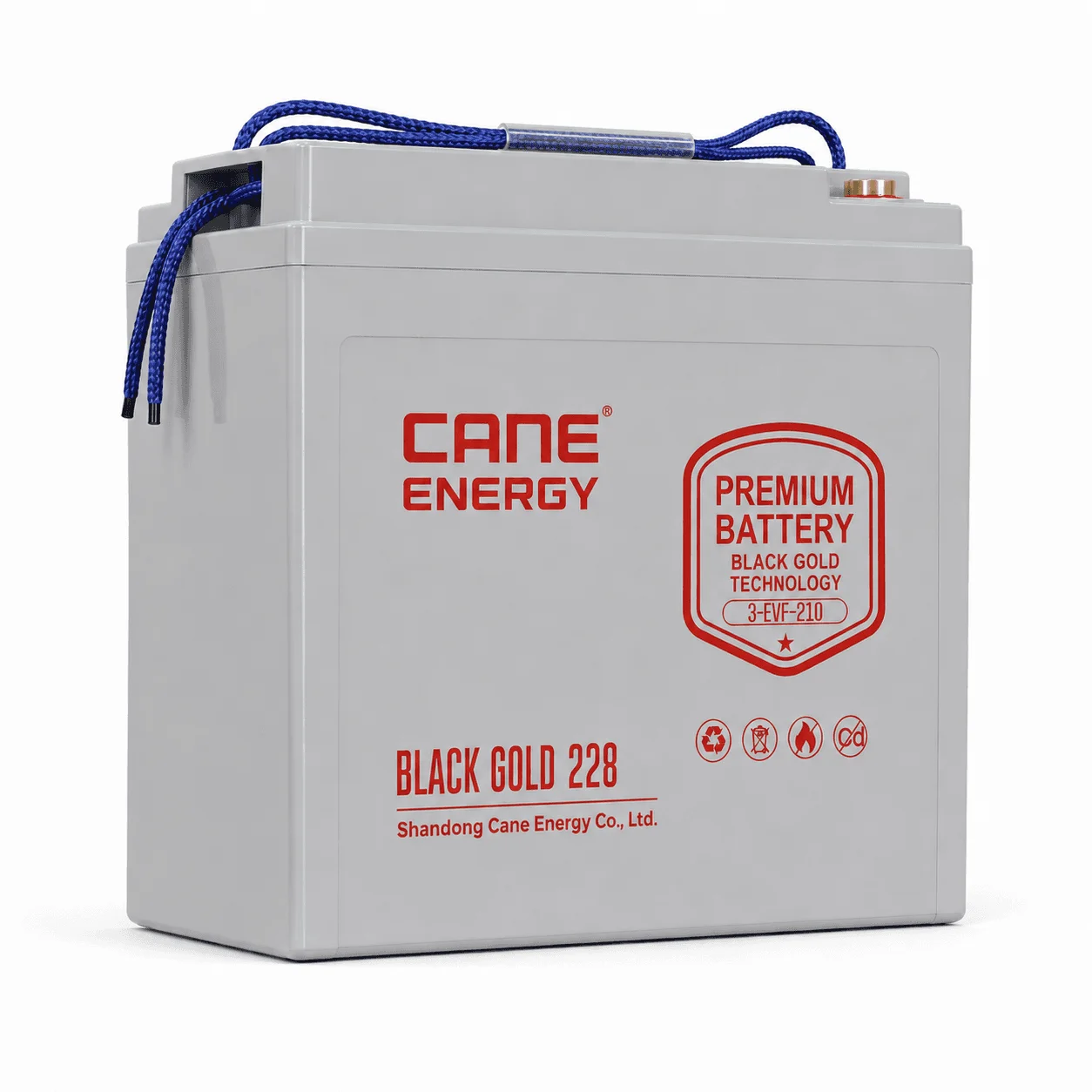 Black Gold 3-EVF-210Ah 6V VRLA deep cycle traction lead-acid battery for industrial vehicles and cleaning equipment