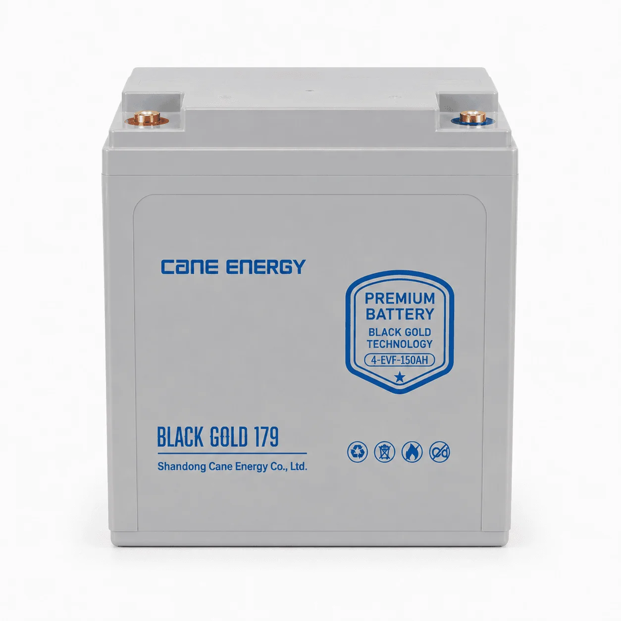 Black Gold 4-EVF-150Ah 8V VRLA deep cycle traction lead-acid battery for industrial vehicles and cleaning equipment