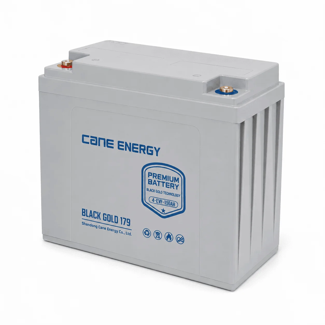 Black Gold 4-EVF-150Ah 8V VRLA deep cycle traction lead-acid battery for industrial vehicles and cleaning equipment