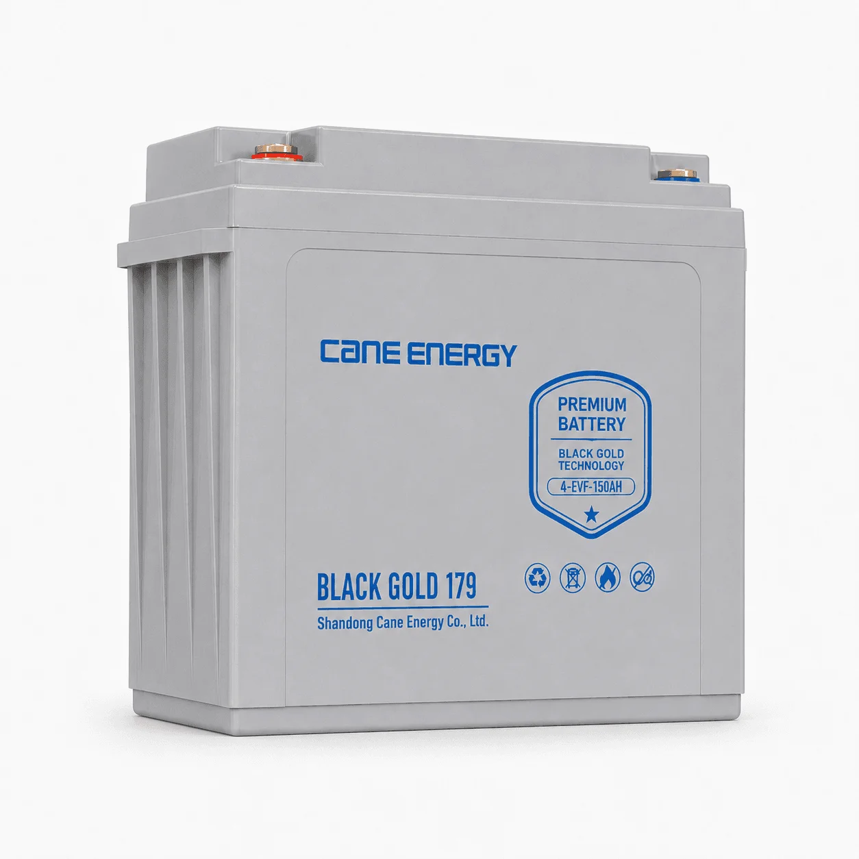 Black Gold 4-EVF-150Ah 8V VRLA deep cycle traction lead-acid battery for industrial vehicles and cleaning equipment