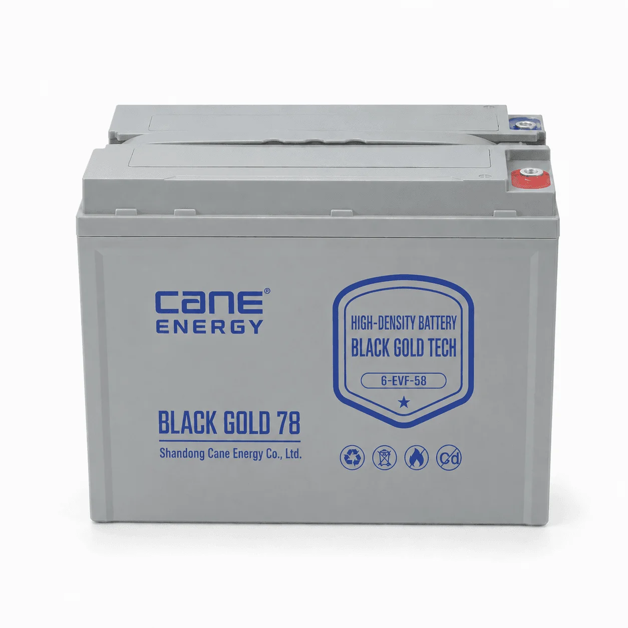 Black Gold 6-EVF-58Ah 12V VRLA deep cycle traction lead-acid battery for low-speed EVs and special vehicles