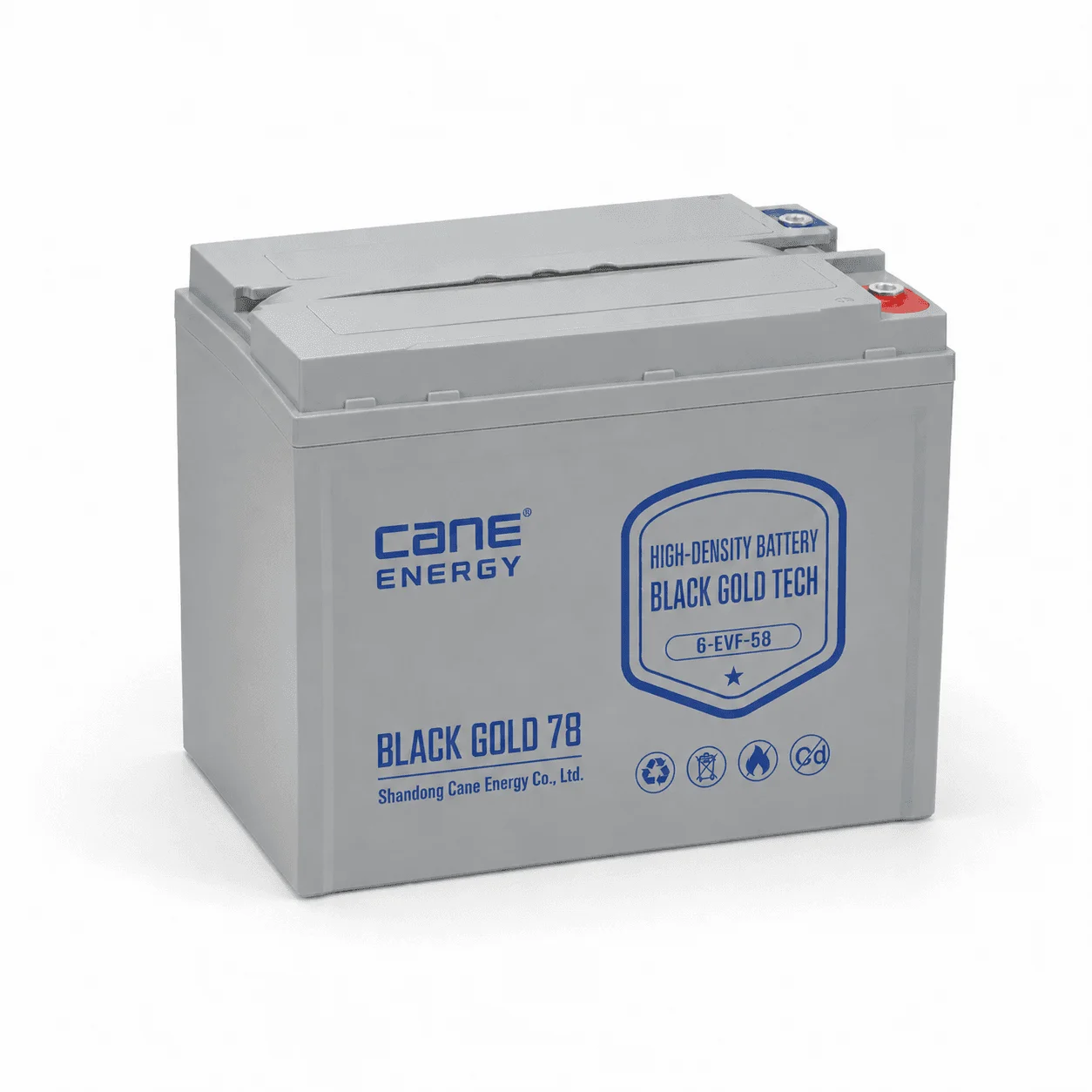 Black Gold 6-EVF-58Ah 12V VRLA deep cycle traction lead-acid battery for low-speed EVs and special vehicles