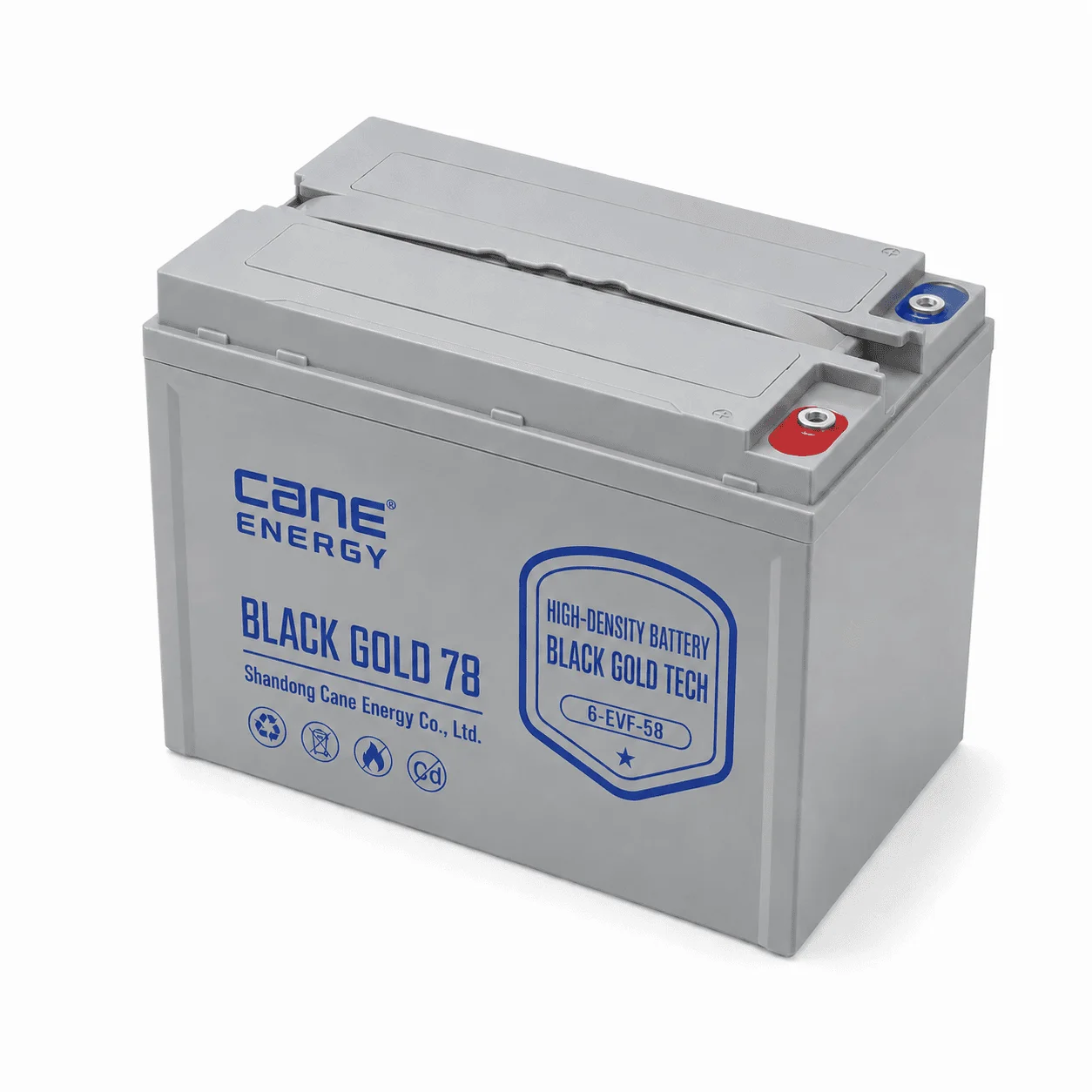 Black Gold 6-EVF-58Ah 12V VRLA deep cycle traction lead-acid battery for low-speed EVs and special vehicles