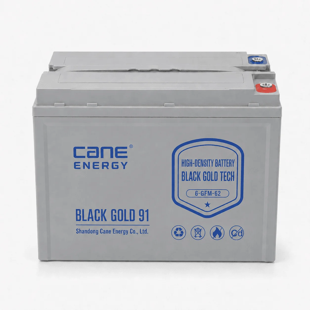 Black Gold 6-EVF-62Ah 12V VRLA deep cycle traction lead-acid battery for low-speed EVs and special vehicles
