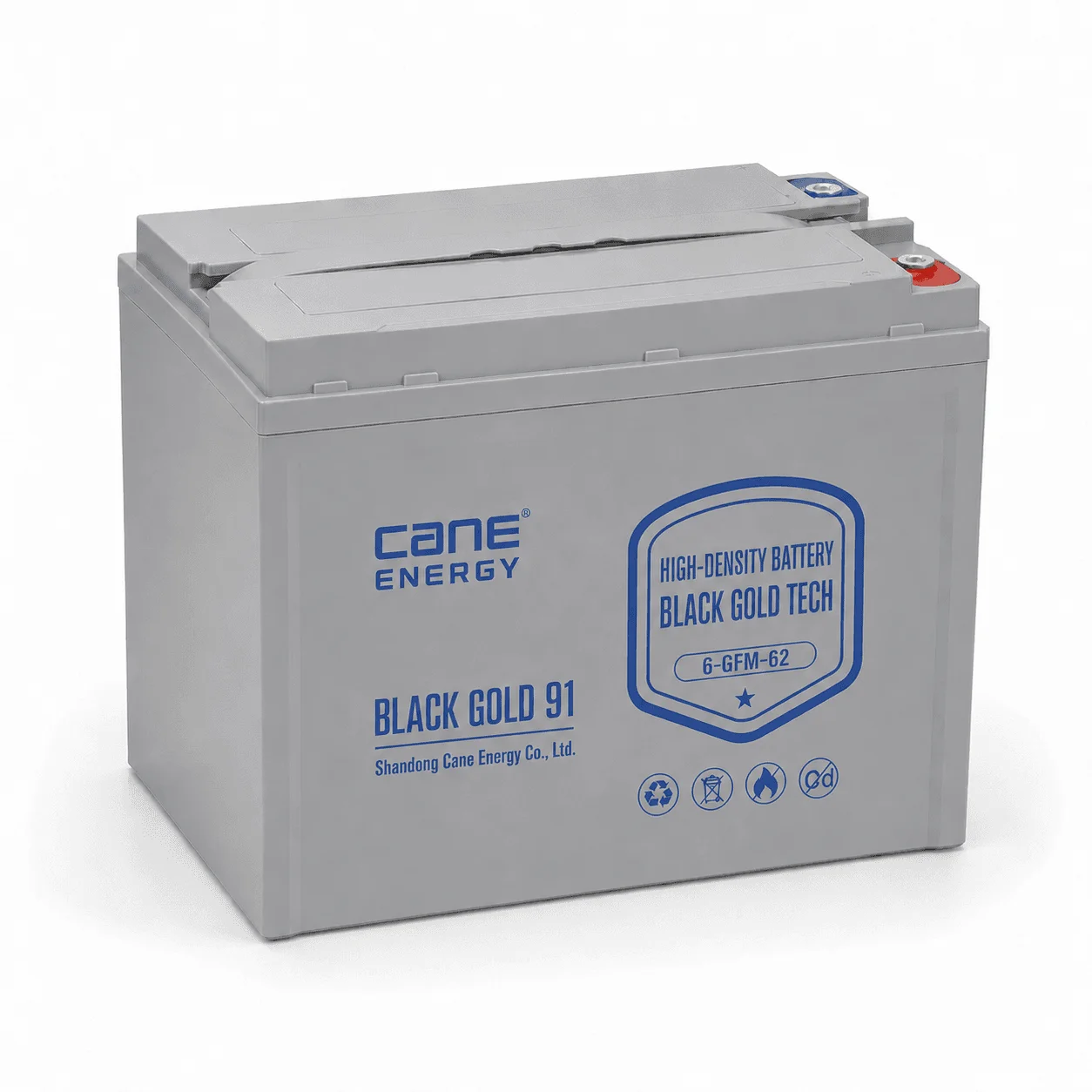 Black Gold 6-EVF-62Ah 12V VRLA deep cycle traction lead-acid battery for low-speed EVs and special vehicles