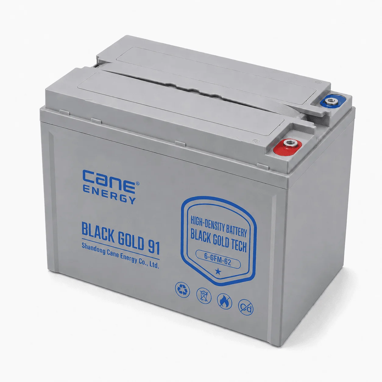 Black Gold 6-EVF-62Ah 12V VRLA deep cycle traction lead-acid battery for low-speed EVs and special vehicles