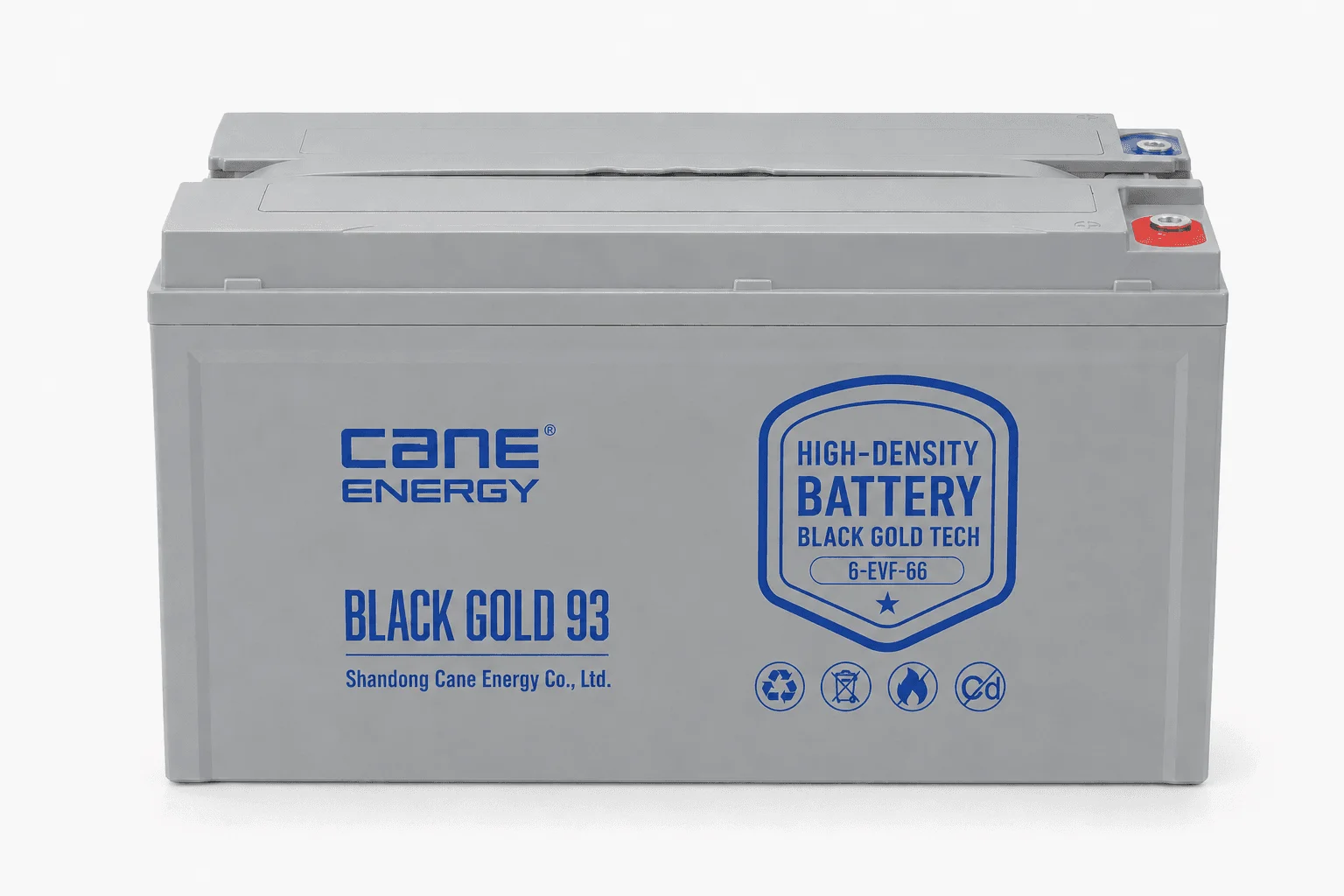 Black Gold 6-EVF-66Ah 12V VRLA deep cycle traction lead-acid battery for low-speed EVs and special vehicles