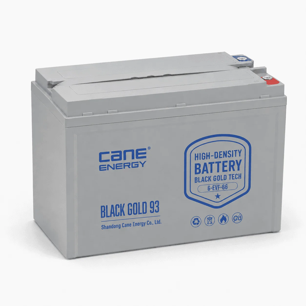 Black Gold 6-EVF-66Ah 12V VRLA deep cycle traction lead-acid battery for low-speed EVs and special vehicles